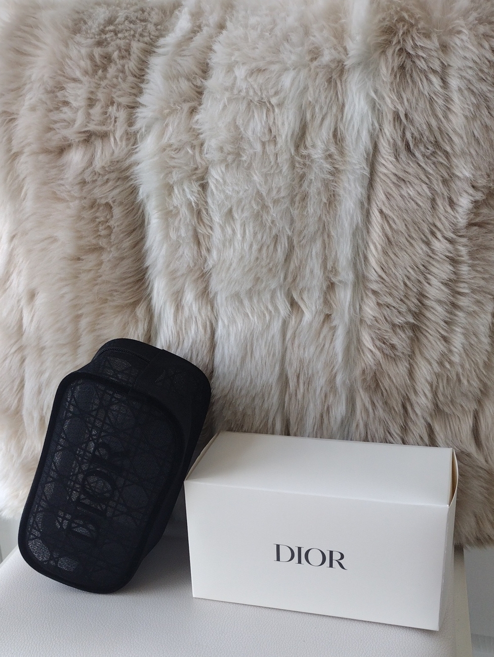 Dior Black Mesh Logo Pouch - Picture 3 of 12